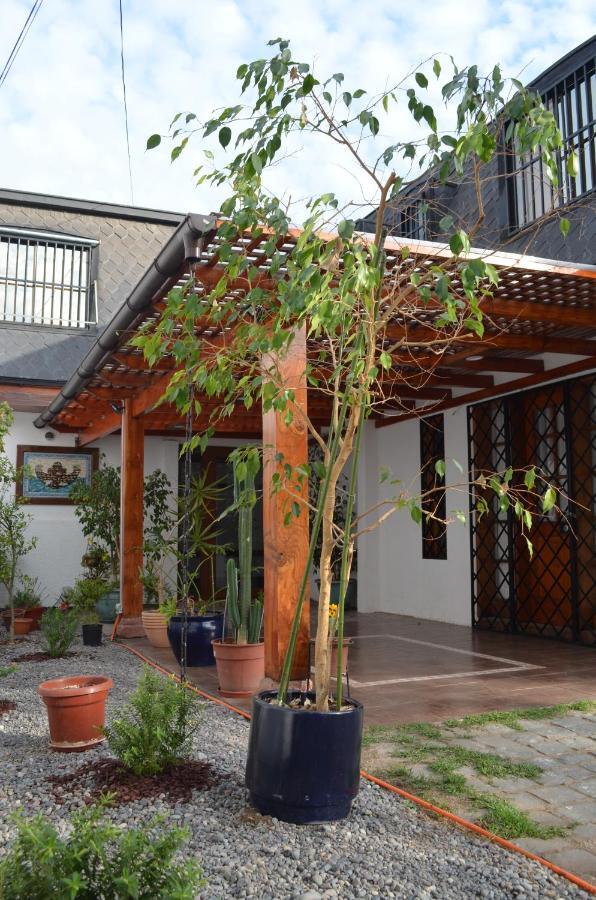 Bed & Breakfast Araucanos